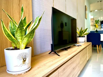 Căn Hộ 2 phòng ngủ Emerald cạnh Siêu Thị AEON mall Tân Phú – 照片 9